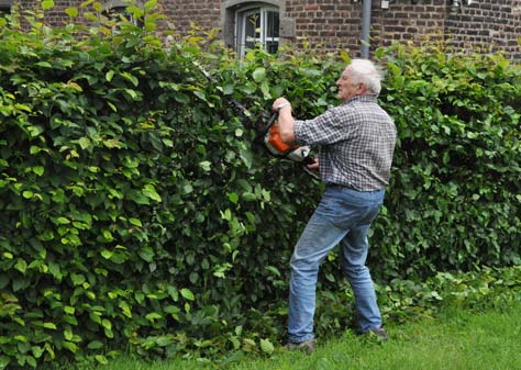 Heckenschnitt in Kloster Burbach
