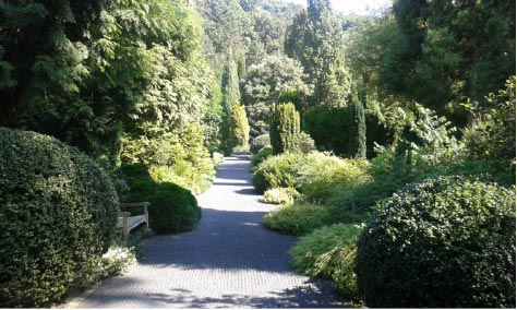 Arboretum Park Härle